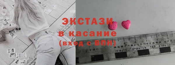 индика Краснослободск